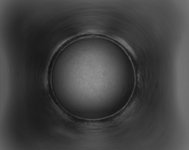 X0000099980972200806061520