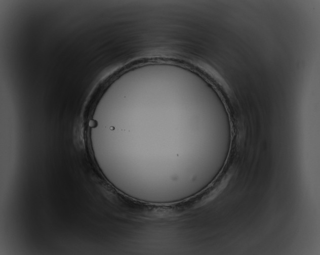 X0000099980974200806061520