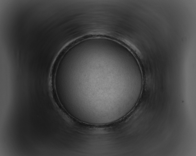 X0000099980976200806061520