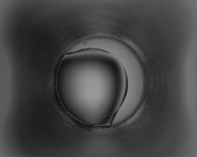 X0000099980977200806061520