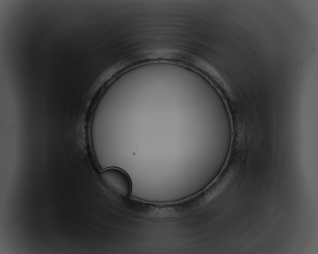 X0000099980978200806061520