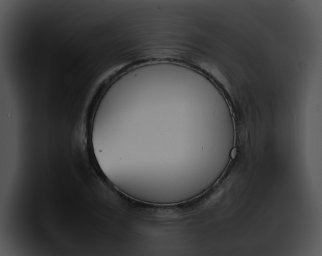 X0000099980979200806061520