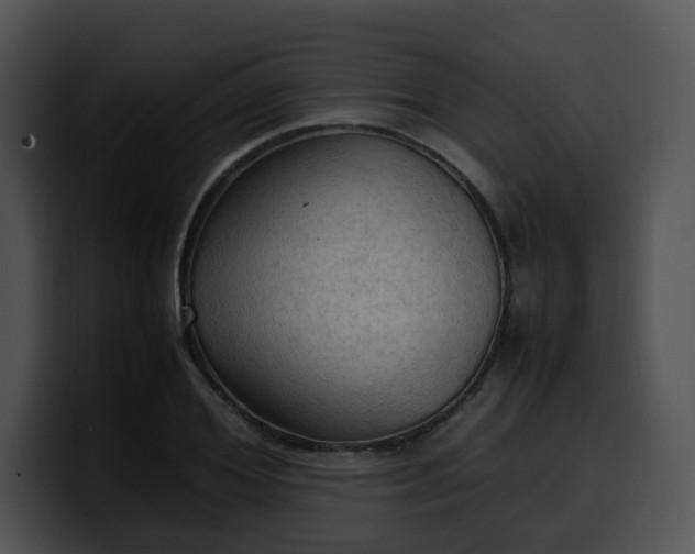 X0000099980980200806061520