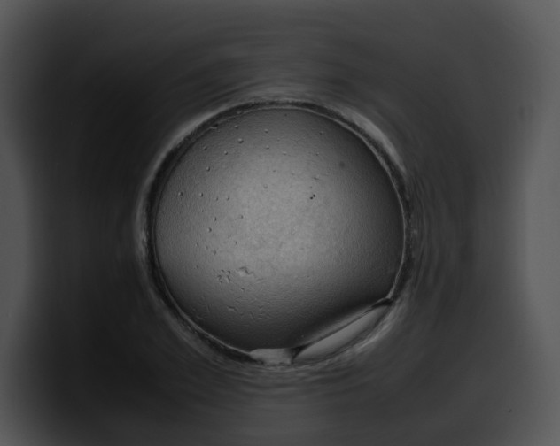 X0000099980981200806061519