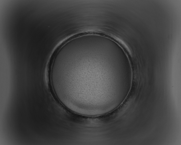 X0000099980983200806061519