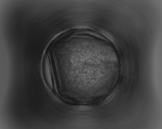 X0000099980984200806061519