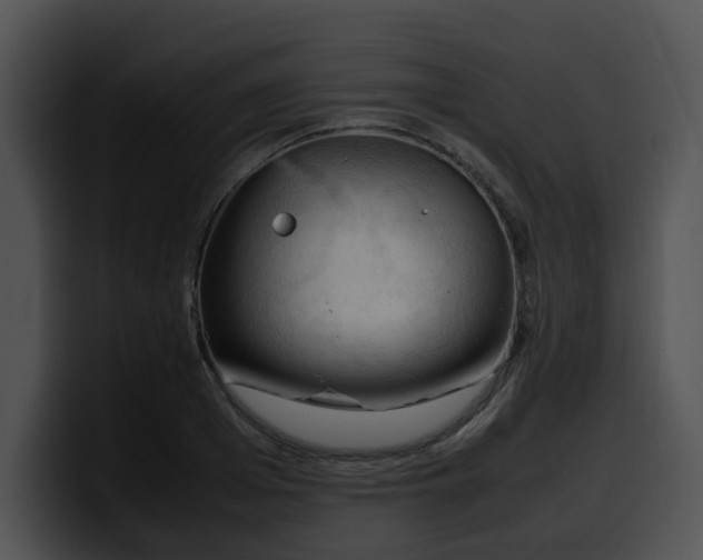 X0000099980985200806061519