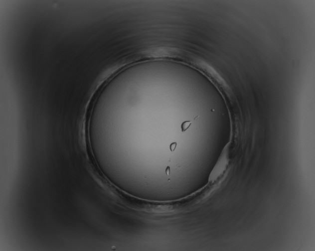 X0000099980986200806061519