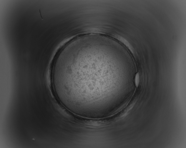 X0000099980987200806061519