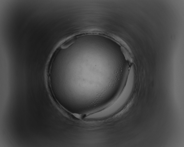 X0000099980989200806061519