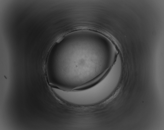 X0000099980993200806061519