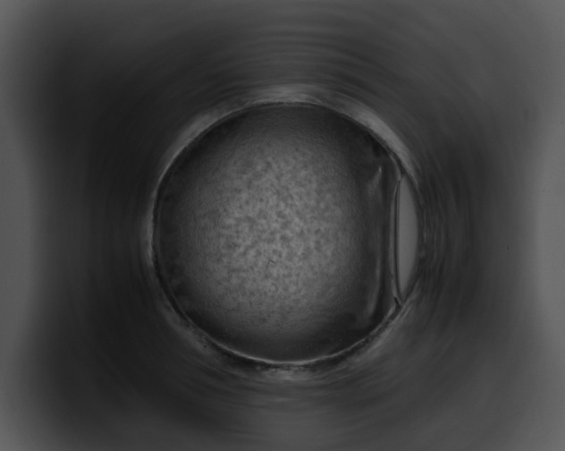 X0000099980994200806061519