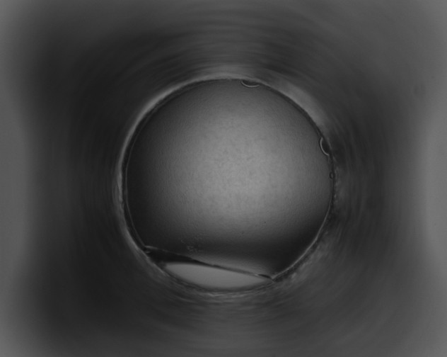 X0000099980996200806061519