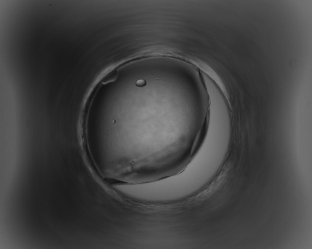 X0000099980997200806061519