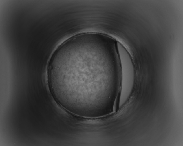 X0000099980998200806061519