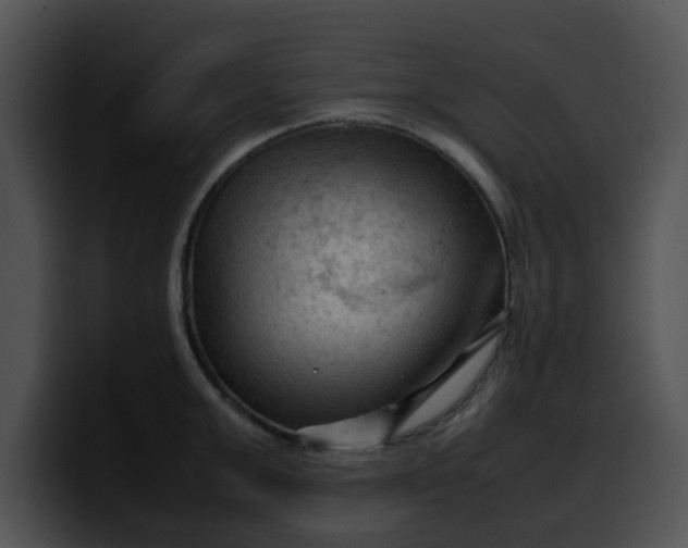 X0000099980999200806061519