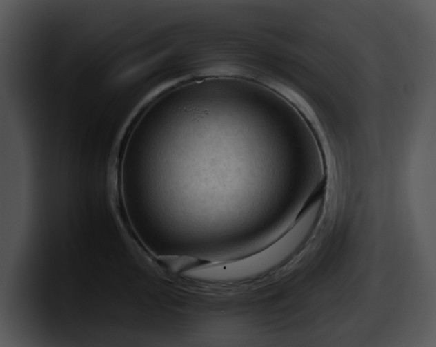 X0000099981000200806061519