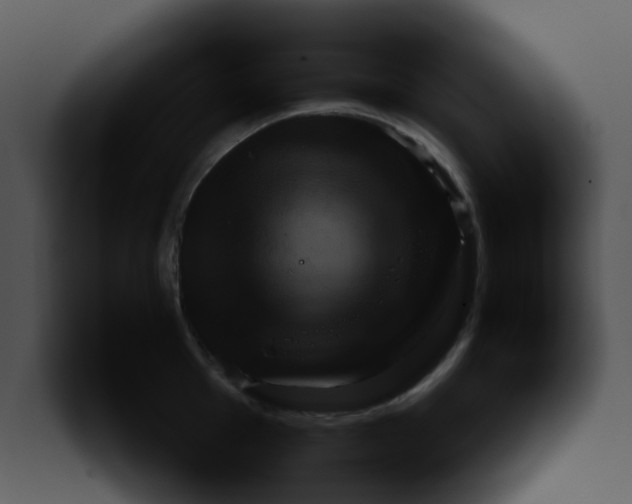 X0000099981001200806061519