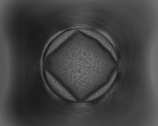 X0000099981003200806061519