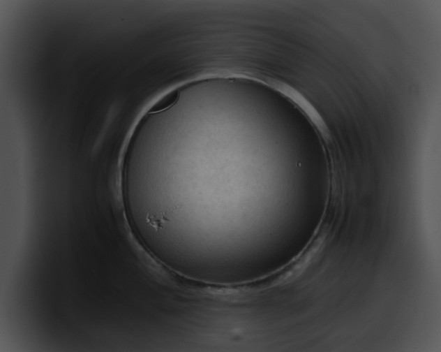 X0000099981004200806061519