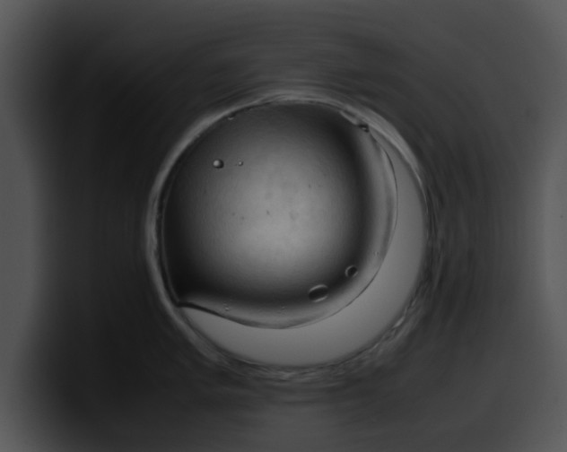 X0000099981005200806061519