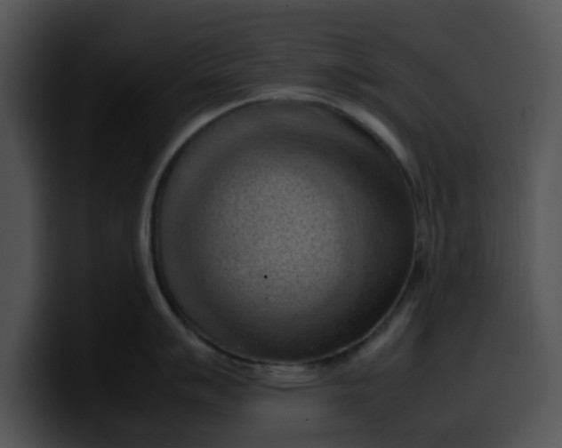 X0000099981007200806061519