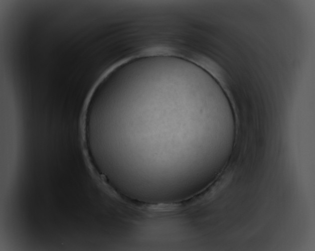 X0000099981008200806061519