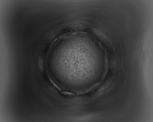 X0000099981010200806061518