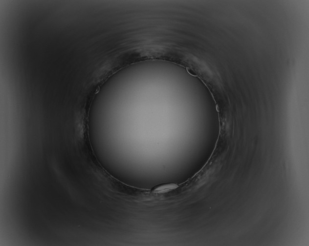 X0000099981012200806061519