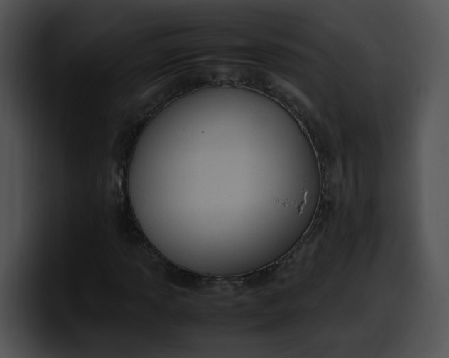 X0000099981013200806061519