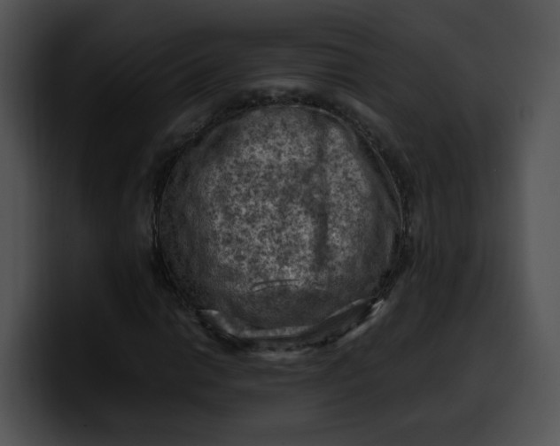 X0000099981014200806061519