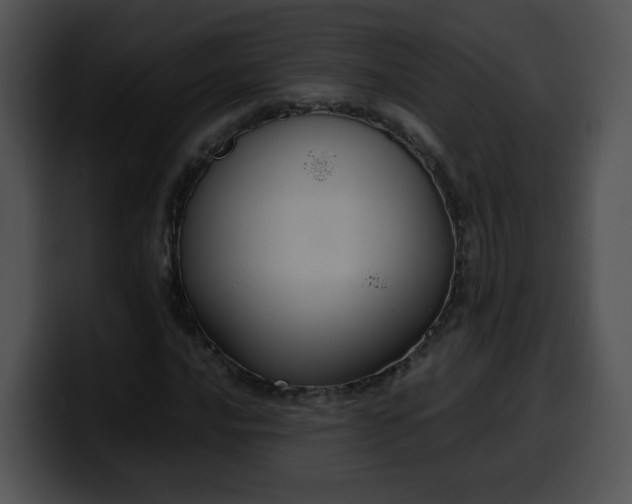 X0000099981016200806061519