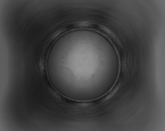 X0000099981017200806061519