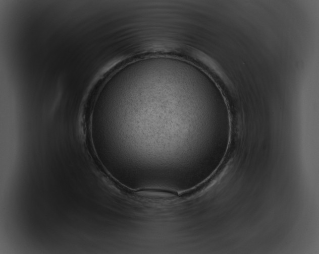 X0000099981018200806061519