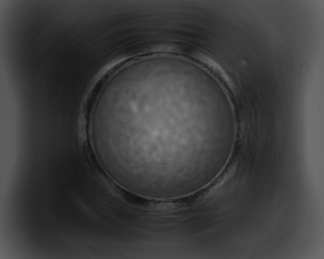 X0000099981019200806061519