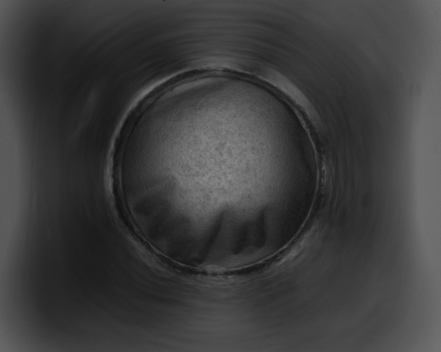 X0000099981020200806061519