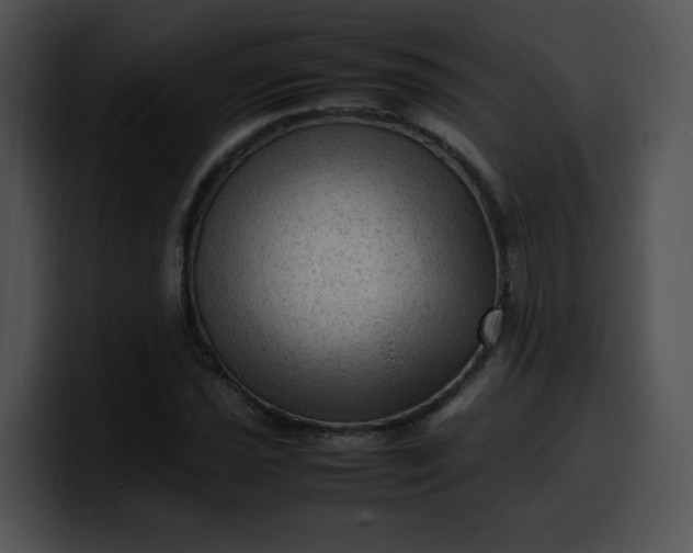 X0000099981021200806061519