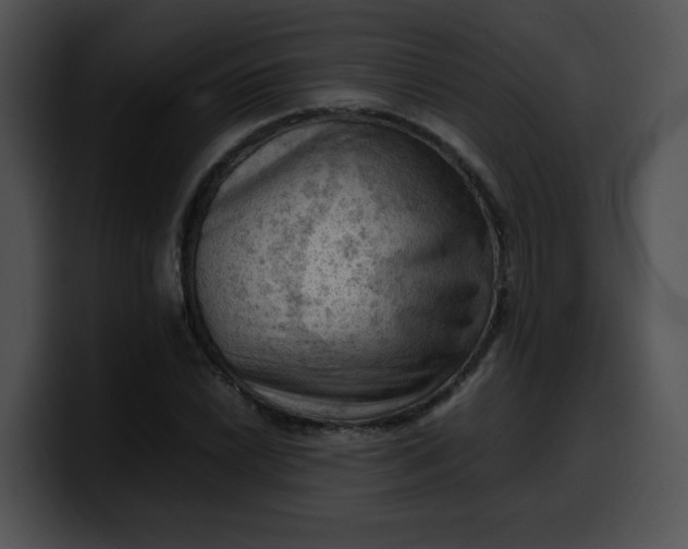 X0000099981022200806061519