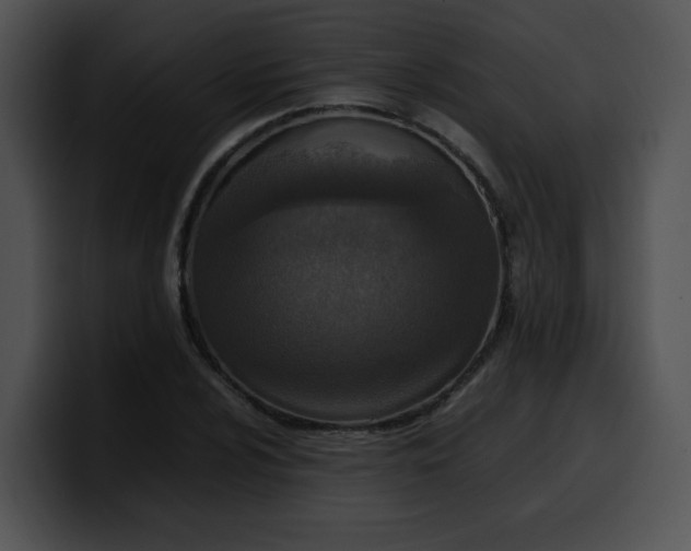 X0000099981024200806061519