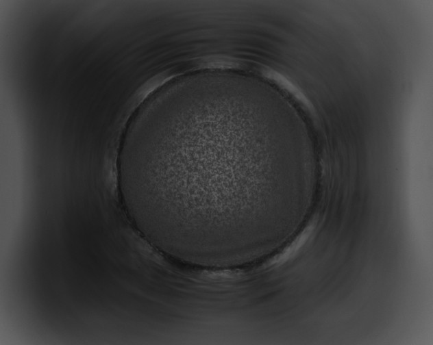 X0000099981025200806061519