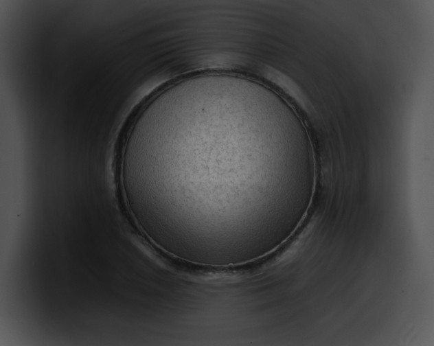 X0000099981026200806061519