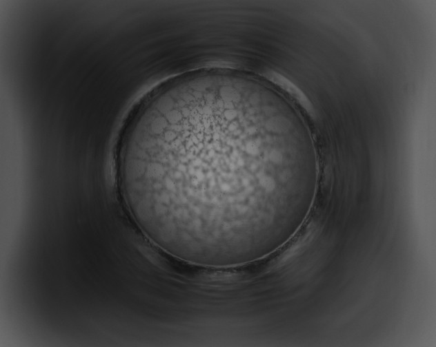 X0000099981027200806061519