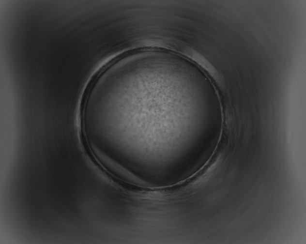 X0000099981028200806061519