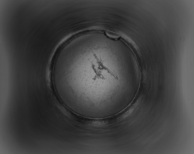 X0000099981029200806061519