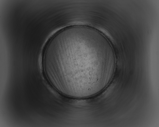 X0000099981030200806061519