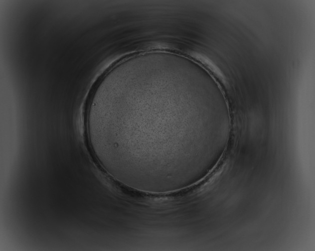 X0000099981031200806061519