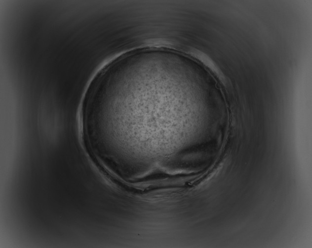 X0000099981032200806061519