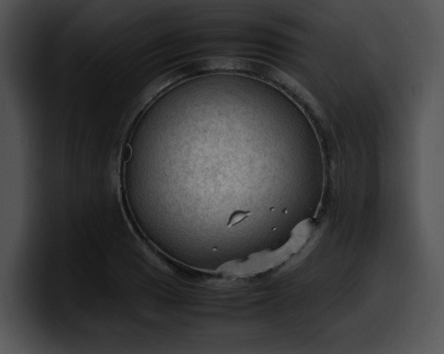 X0000099981033200806061519