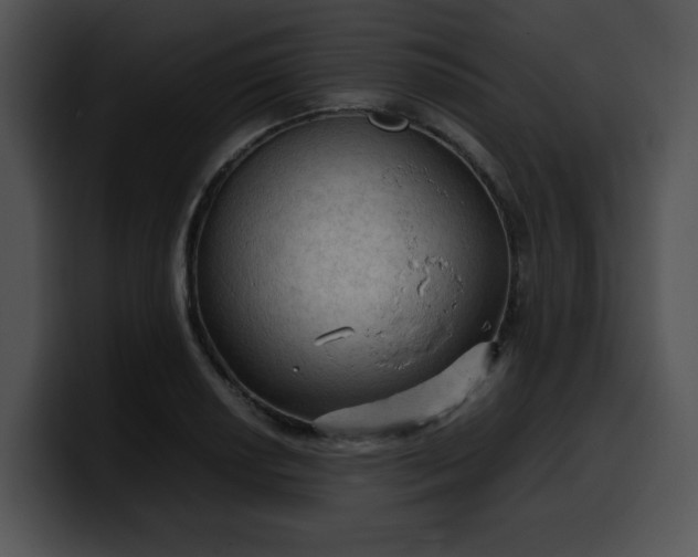 X0000099981034200806061519