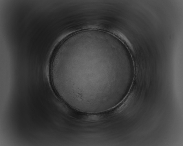 X0000099981035200806061519